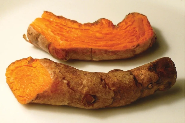 Picture → e298e51335b84cb0475f24c5bda1438e9dd155ce-4212x2808.jpg (1).webp