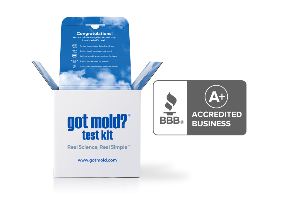 GOT MOLD? Test Kit
