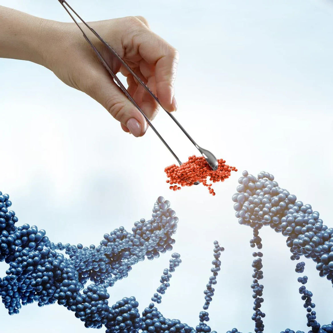 Sirtuin Pathways (SIRT1-SIRT7): Mechanisms, Functions, and Therapeutic Implications