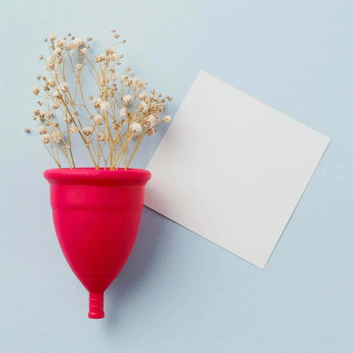 Menstrual Health Support: A Comprehensive Analysis of Mechanisms, Interventions, and Evidence-Based Approaches