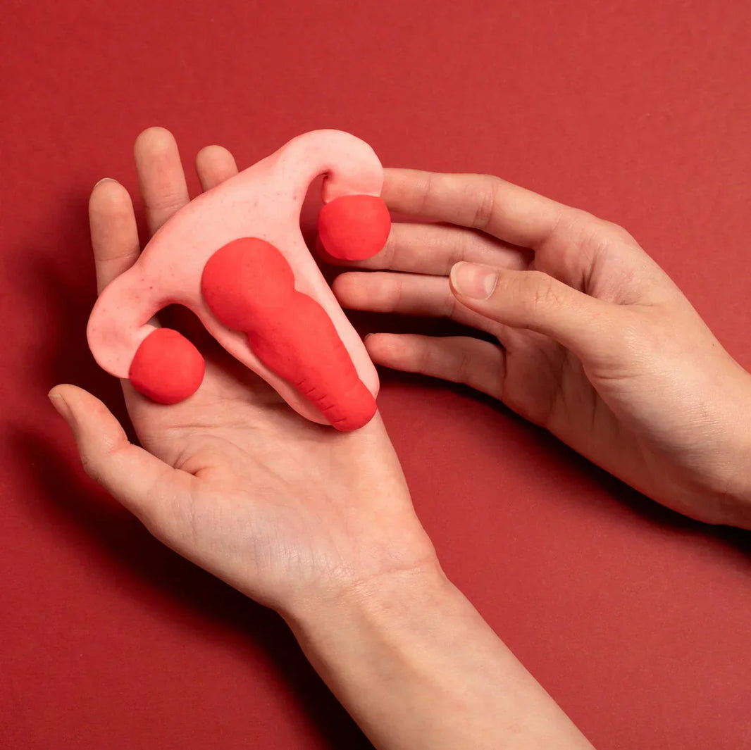 Understanding Female Sexual Health: Mechanisms, Pathways, and Evidence-Based Interventions