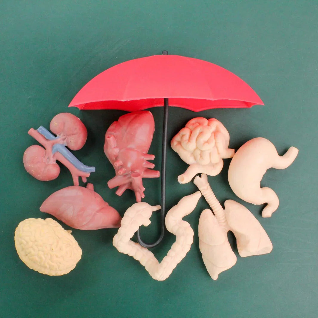 Essential Organ Support in Critical Care: Mechanisms, Evidence, and Applications