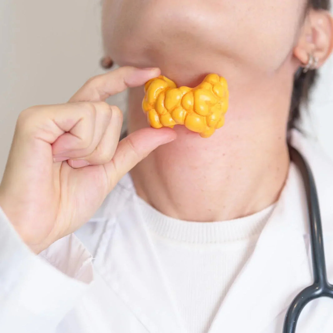 Hypothyroidism: Mechanisms, Pathways, and Treatment Efficacy