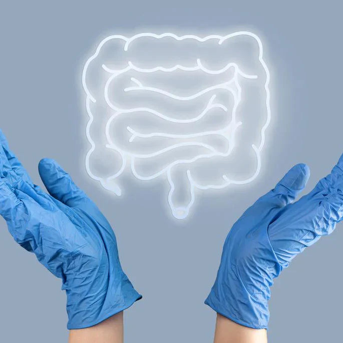 Small Intestinal Bacterial Overgrowth (SIBO) Support: Mechanisms, Efficacy, and Treatment Approaches