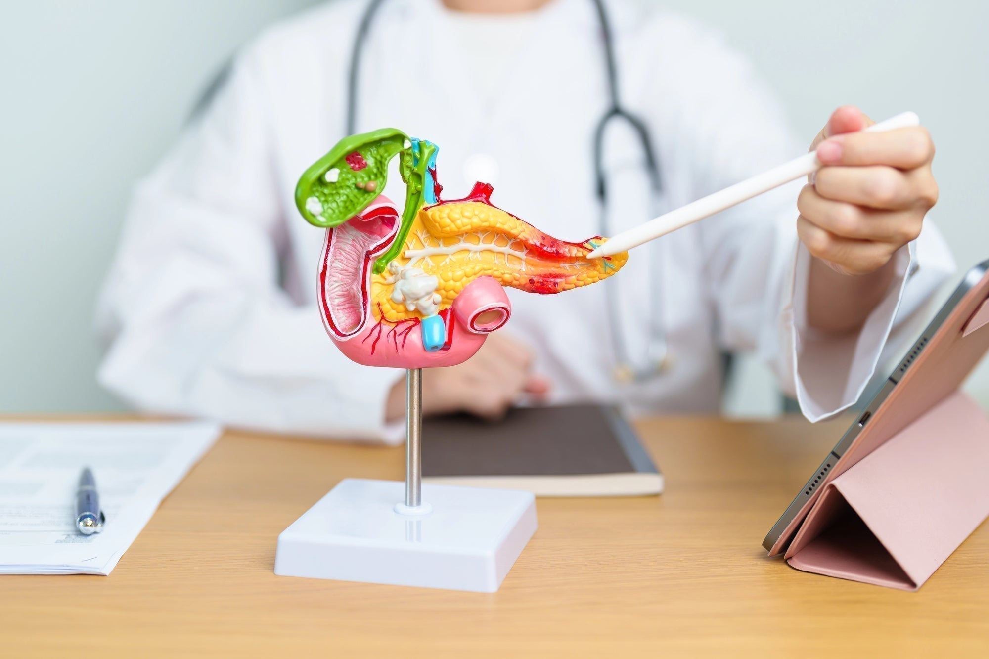 Ox Bile After Gallbladder Removal: Your Post-Surgery Survival Guide