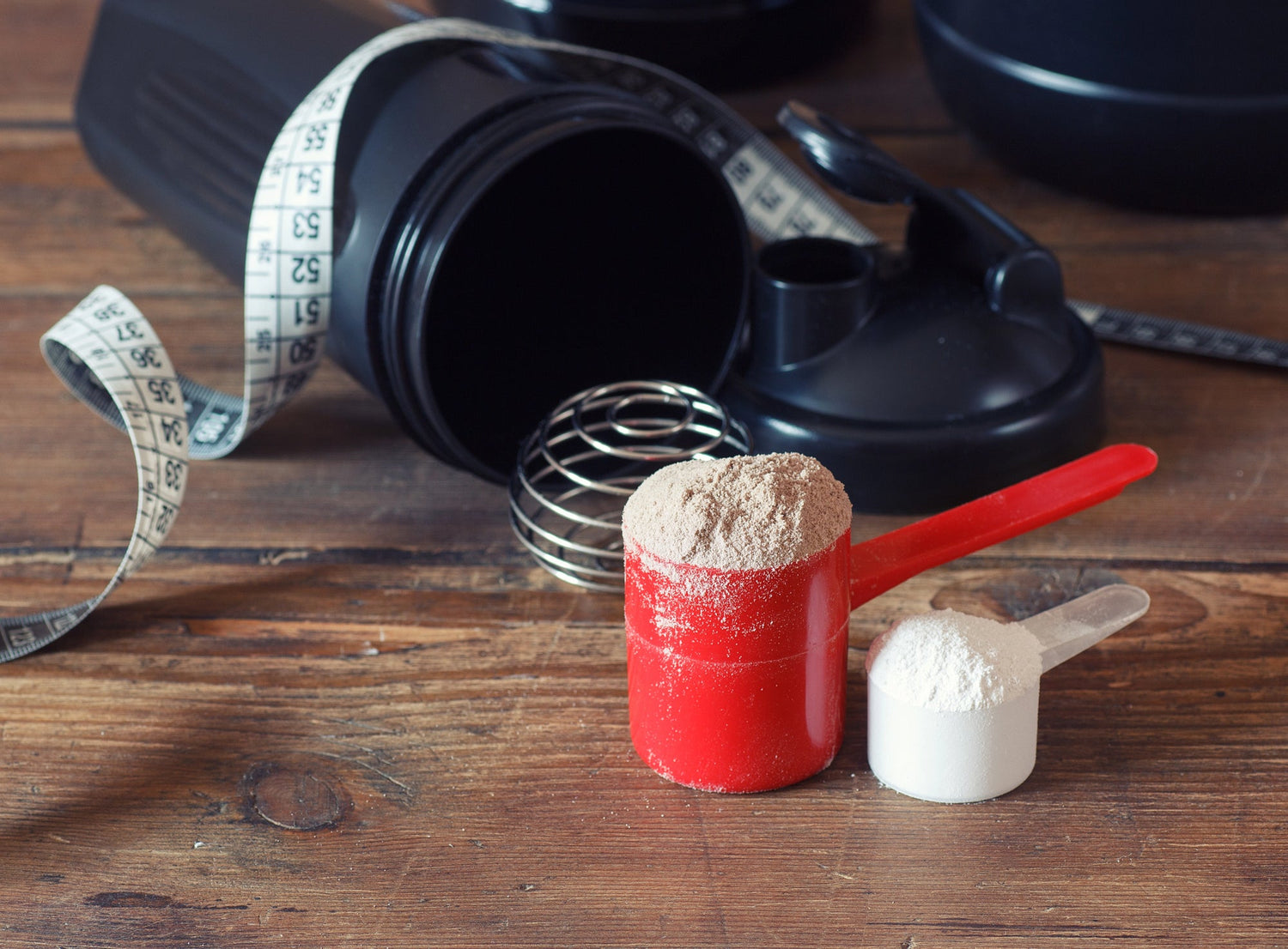 Discover Whey, Plant-Based, & Non-Whey Animal Protein