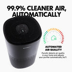 240 HEPA Air Purifier – PuroAir