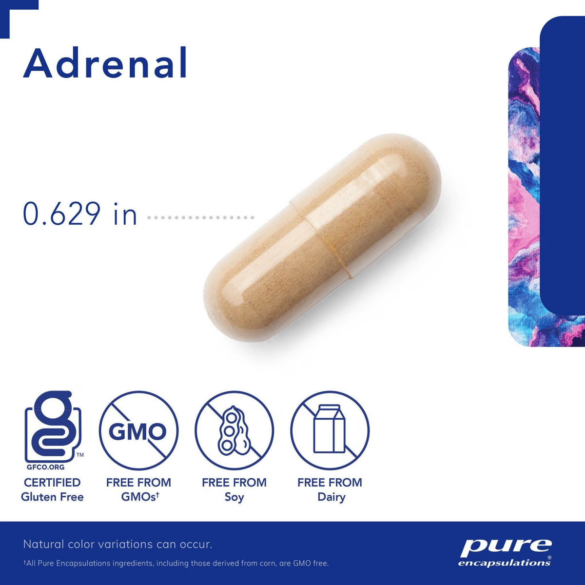 Adrenal 60's – Pure Encapsulations