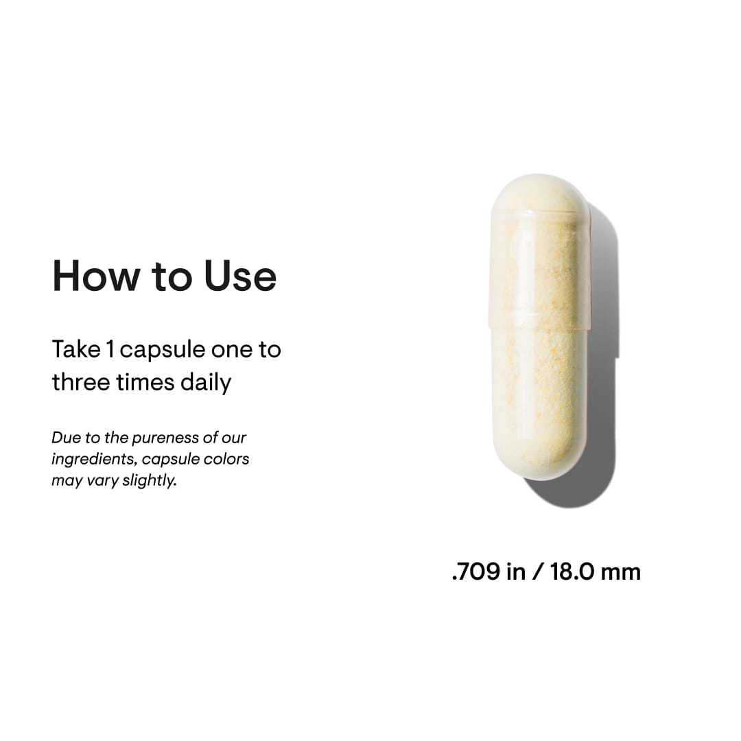 Adrenal Cortex – Thorne