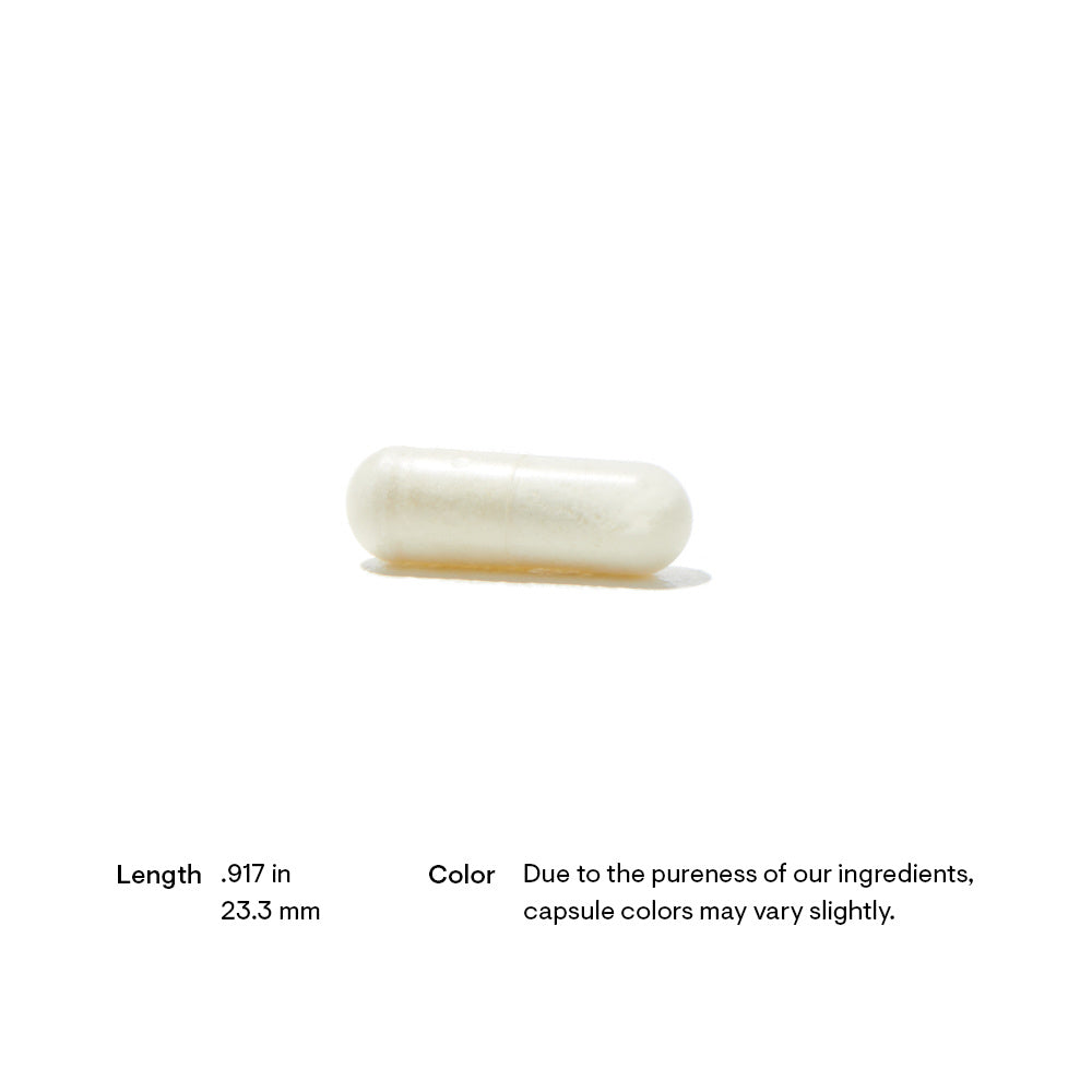 Advanced Digestive Enzymes – Thorne