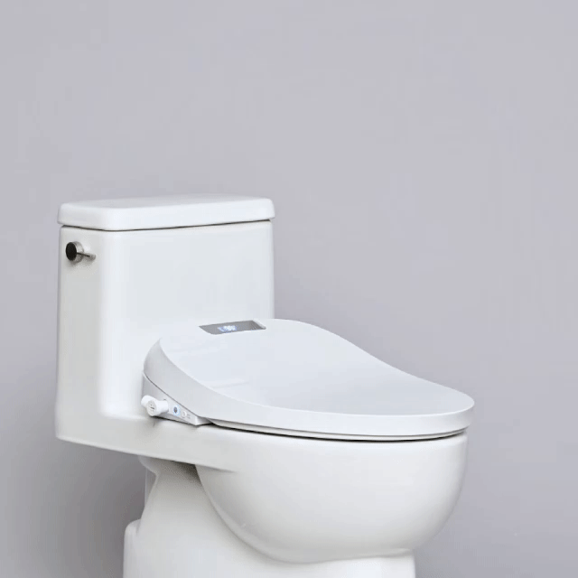 Aura by TUSHY – TUSHY