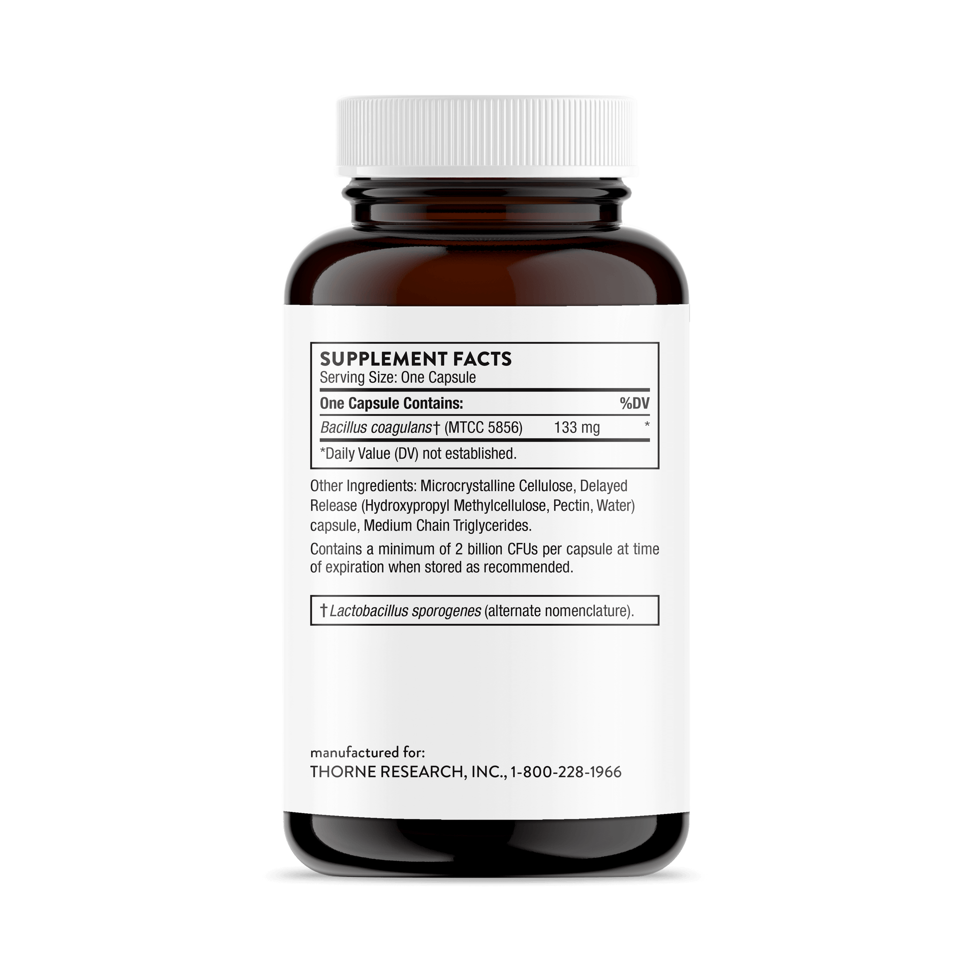 Bacillus Coagulans – Thorne