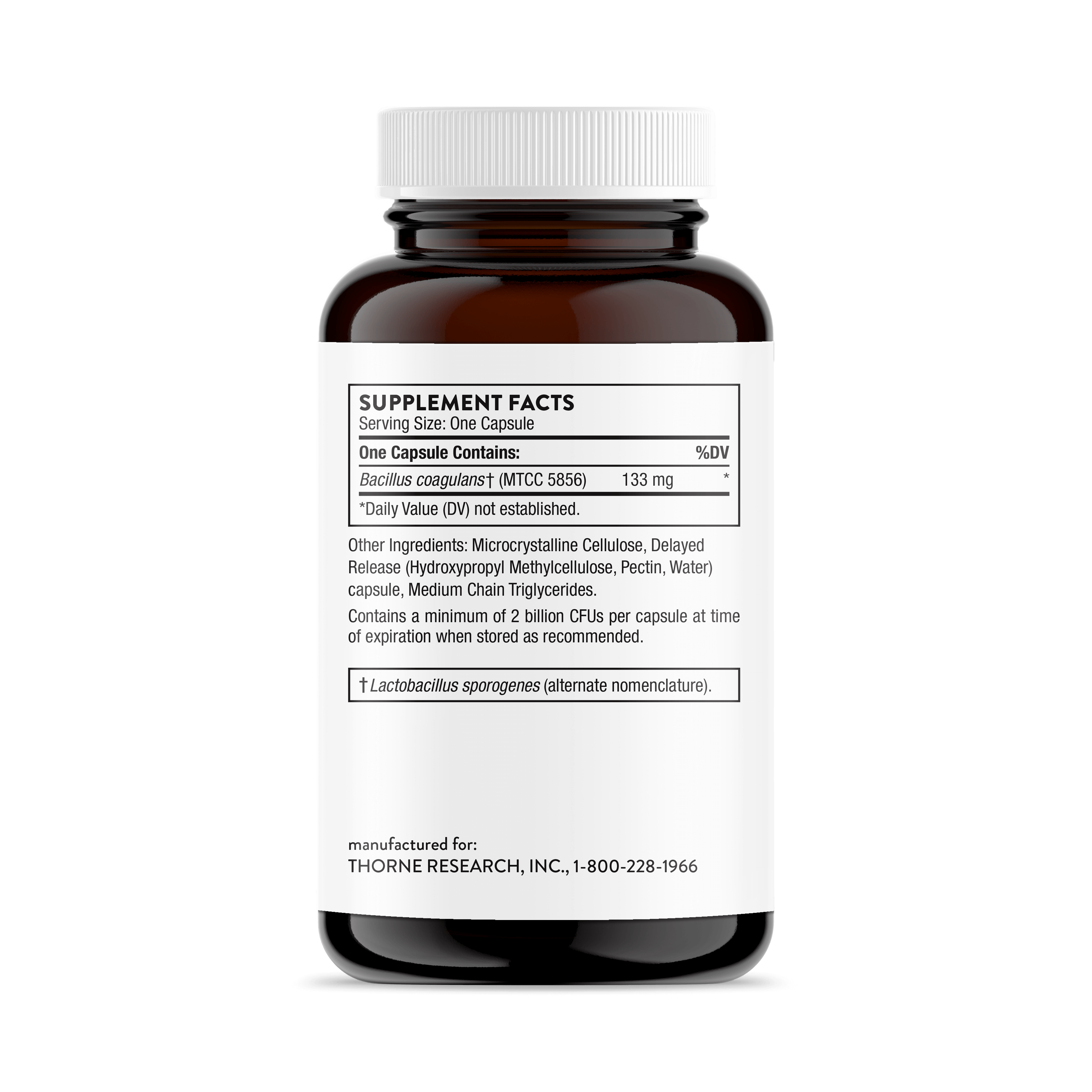 Bacillus Coagulans – Thorne