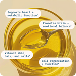 Balance Oil (Omega 6 + 3) – BodyBio