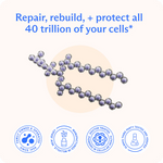 BodyBio PC (Phosphatidylcholine) – BodyBio