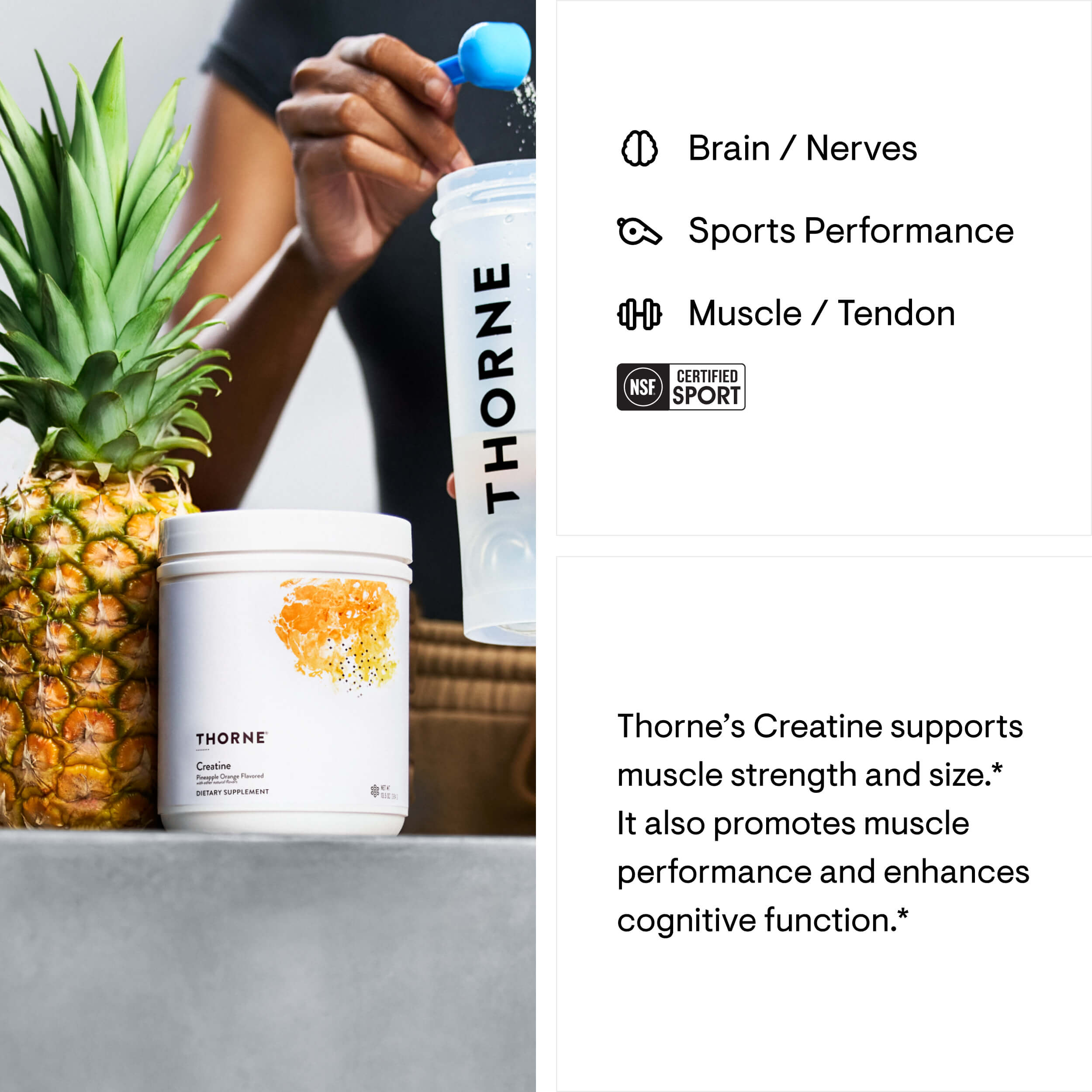 Creatine - Pineapple Orange – Thorne
