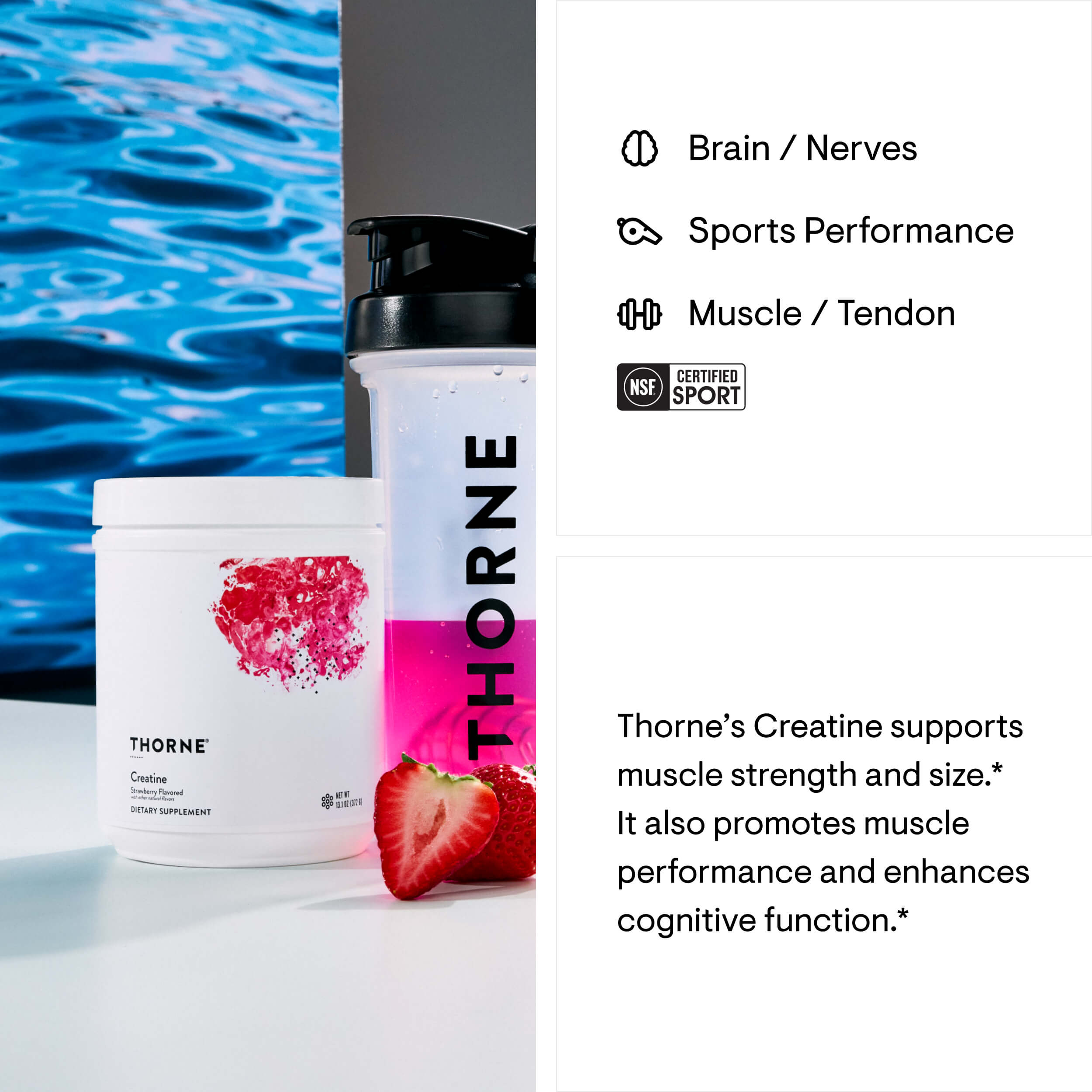 Creatine - Strawberry – Thorne