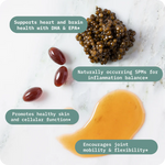 Fish Oil+ – BodyBio