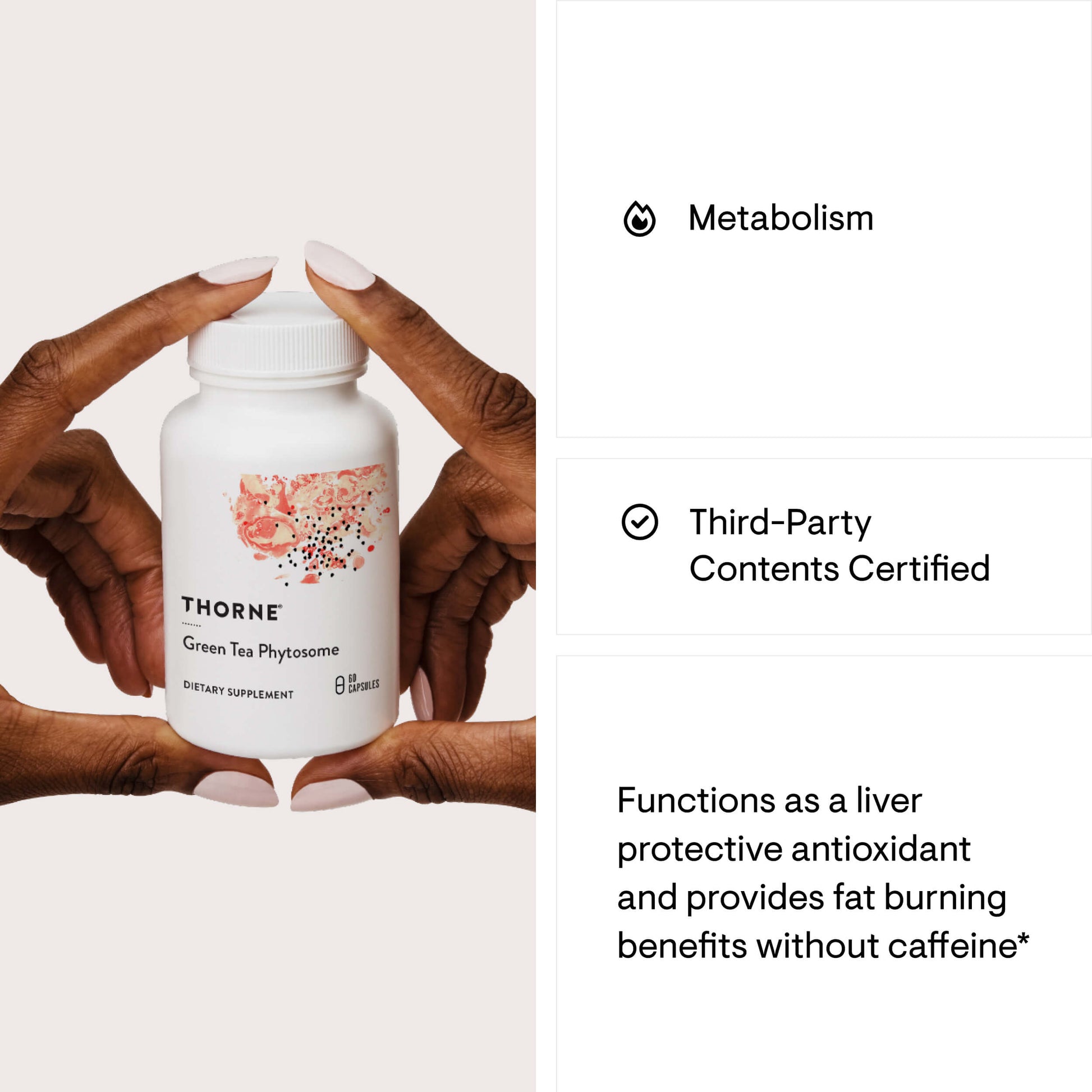 Green Tea Phytosome – Thorne