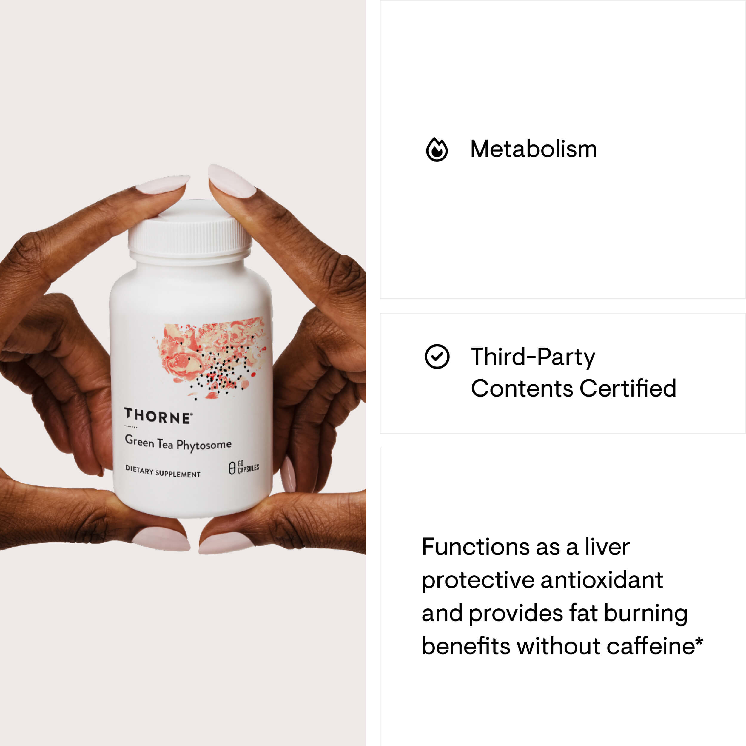 Green Tea Phytosome – Thorne