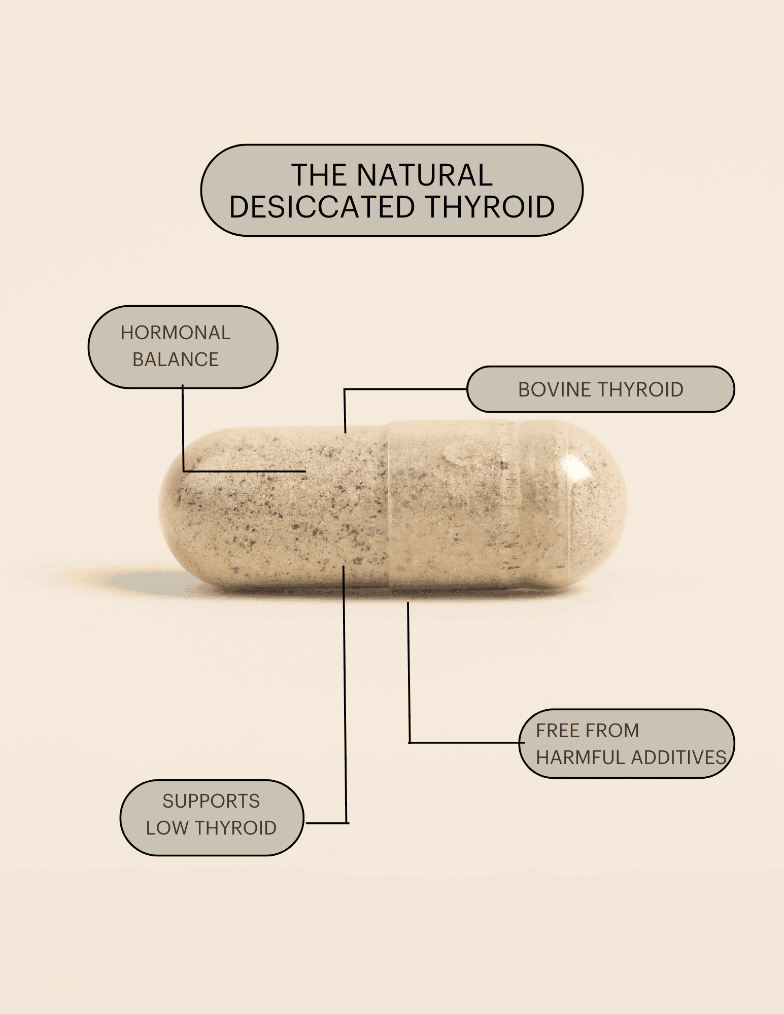 The Natural Desiccated Thyroid 450mg