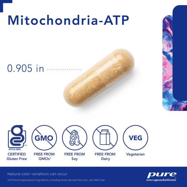 Mitochondria-ATP – Pure Encapsulations