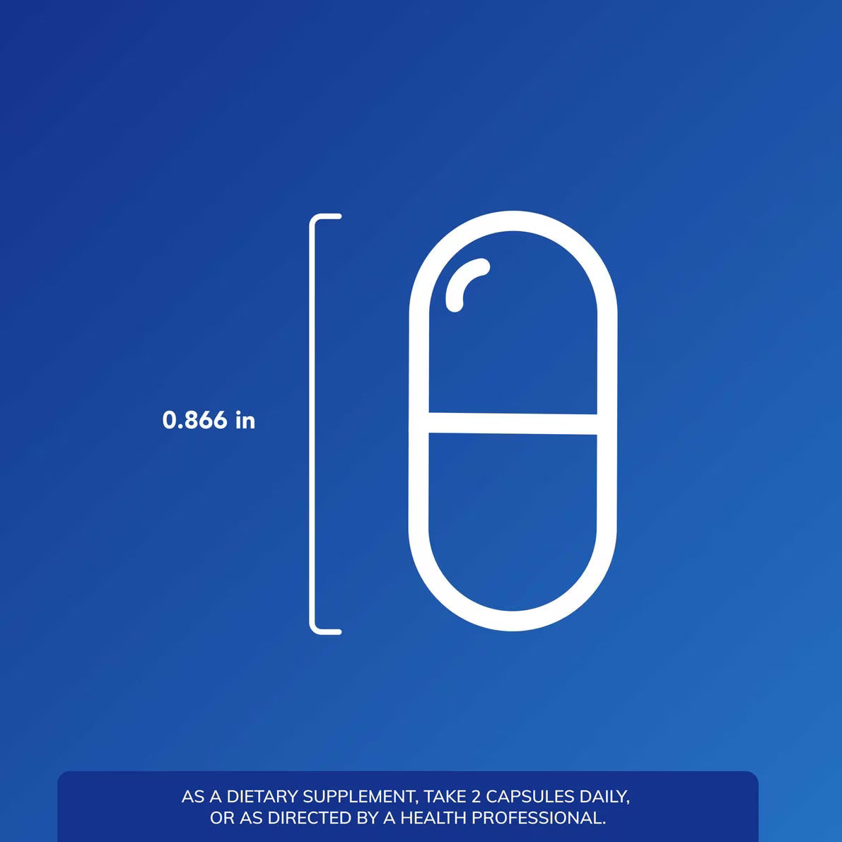 Muscle Repair+ – Pure Encapsulations