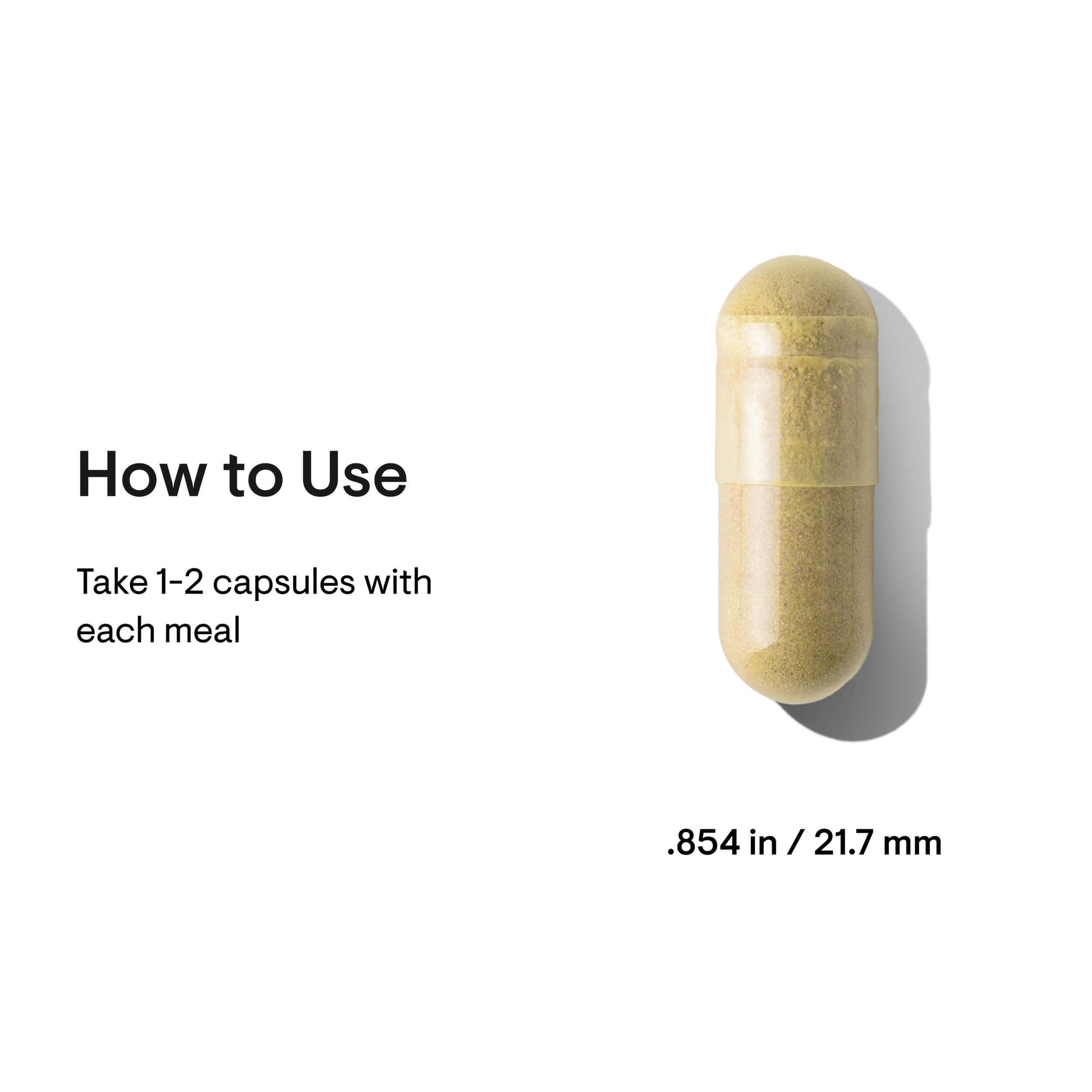 Pancreatic Enzymes – Thorne
