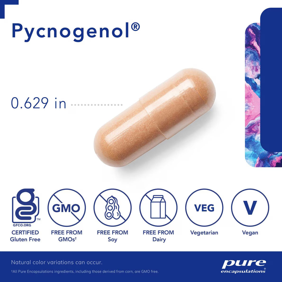Pycnogenol® 100 mg – Pure Encapsulations