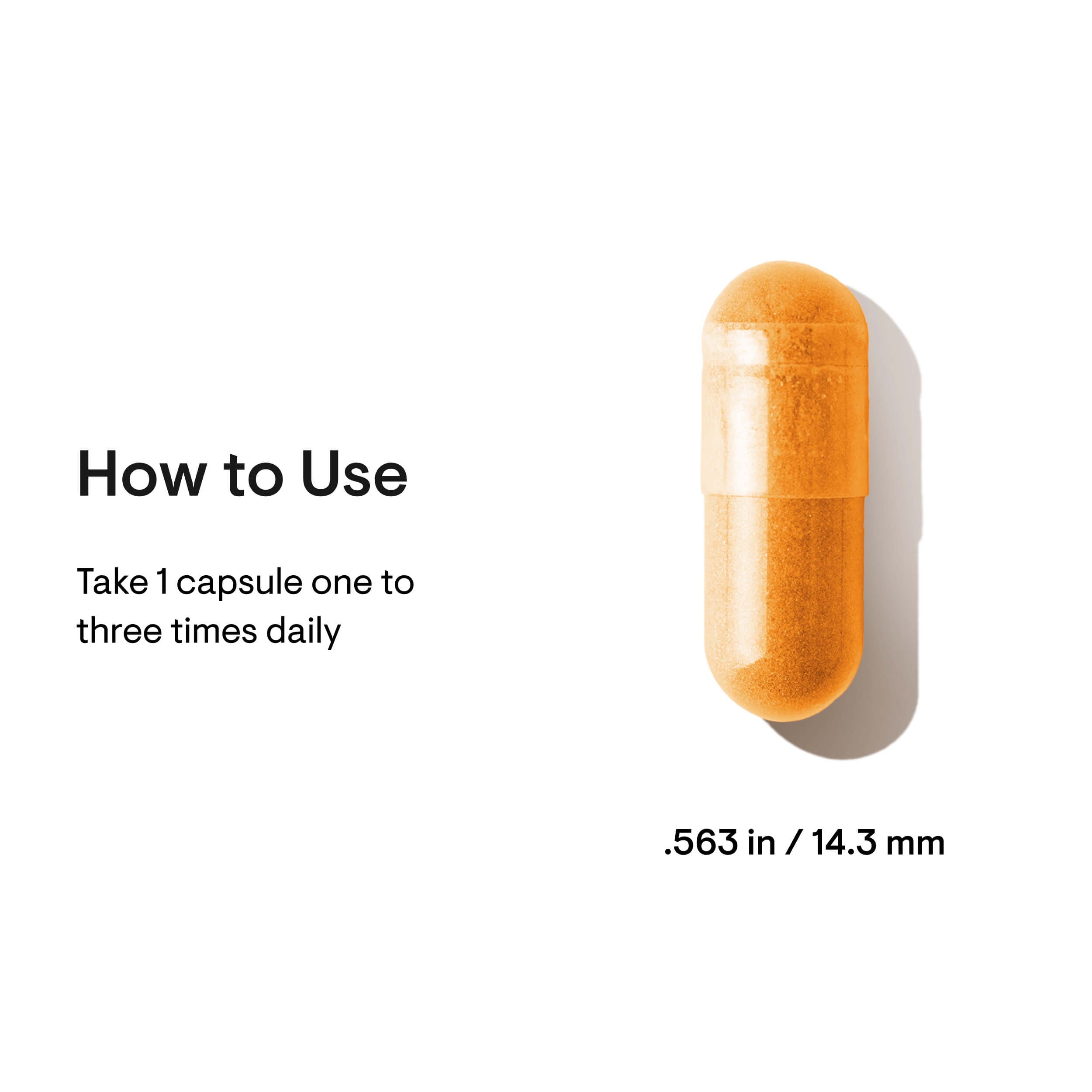 Riboflavin 5'-Phosphate – Thorne