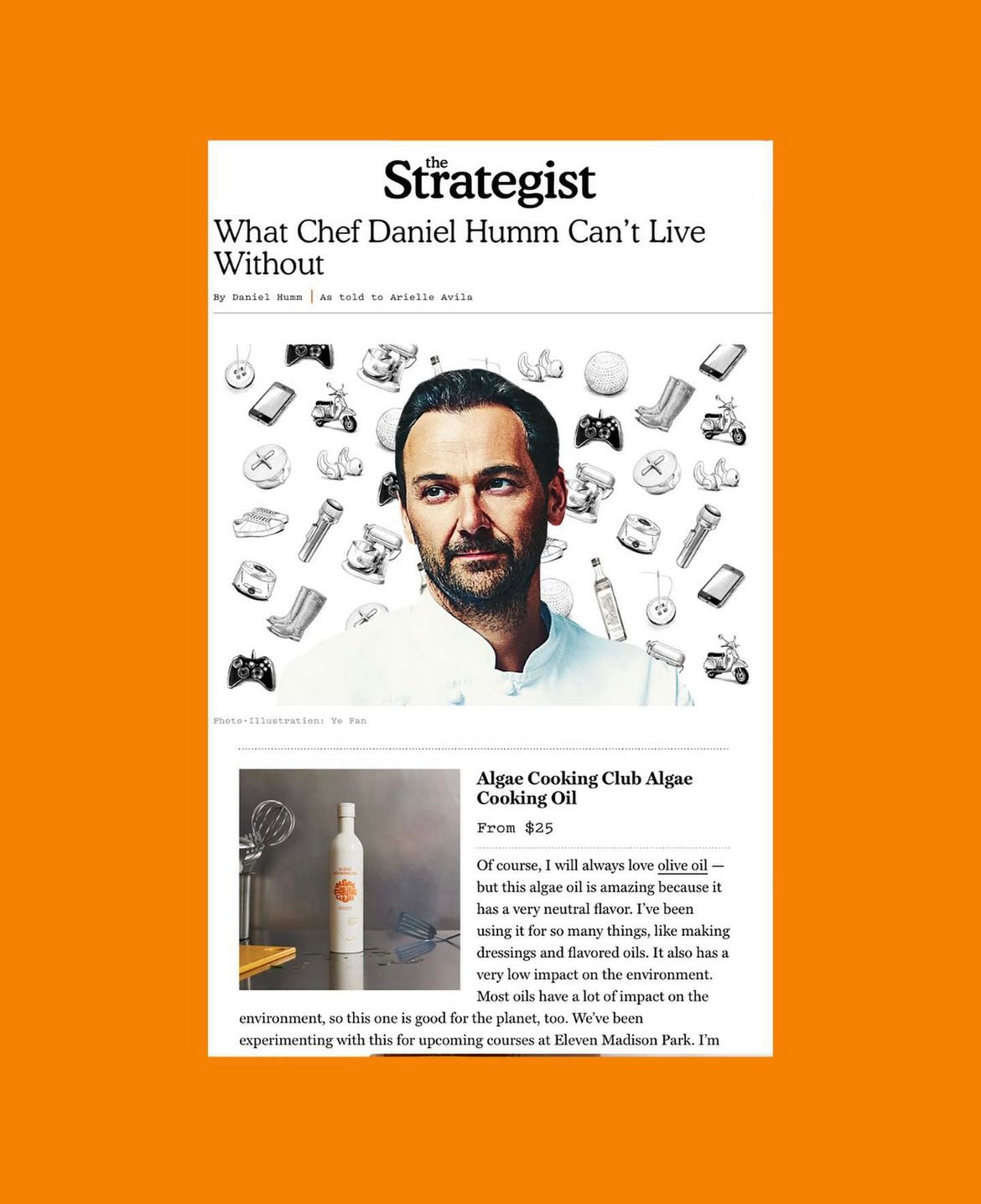 The Club Bundle – Algae Cooking Club