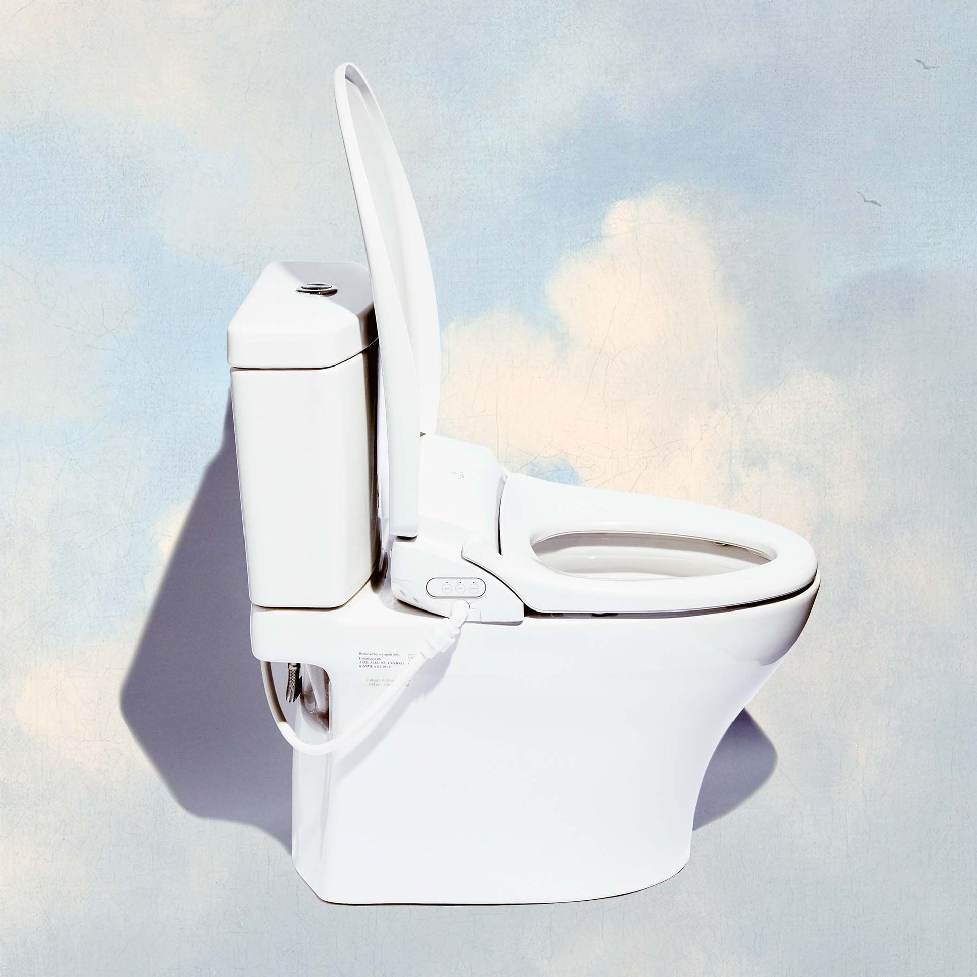 TUSHY Ace Electric Bidet Seat – TUSHY