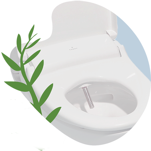 TUSHY Ace Electric Bidet Seat – TUSHY
