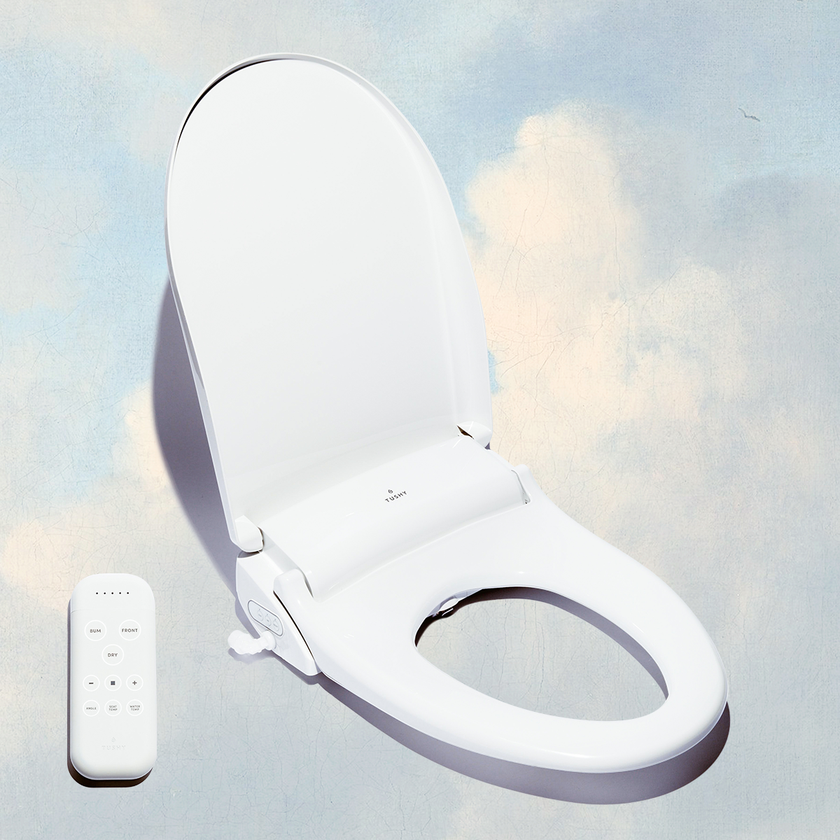 TUSHY Ace Electric Bidet Seat – TUSHY
