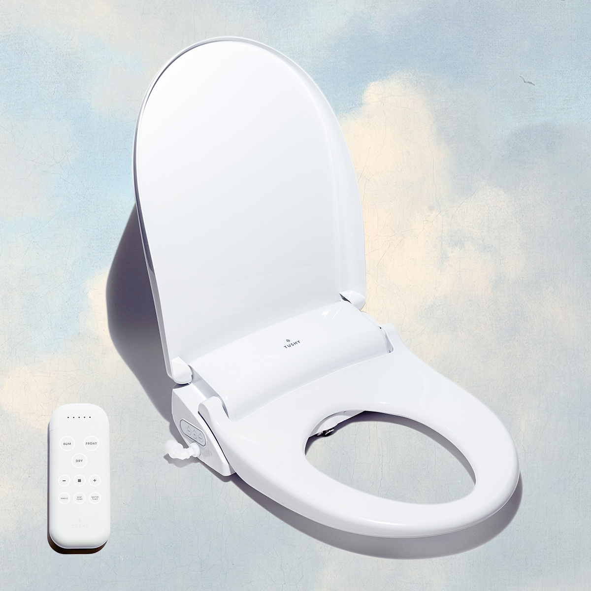 TUSHY Ace Electric Bidet Seat – TUSHY