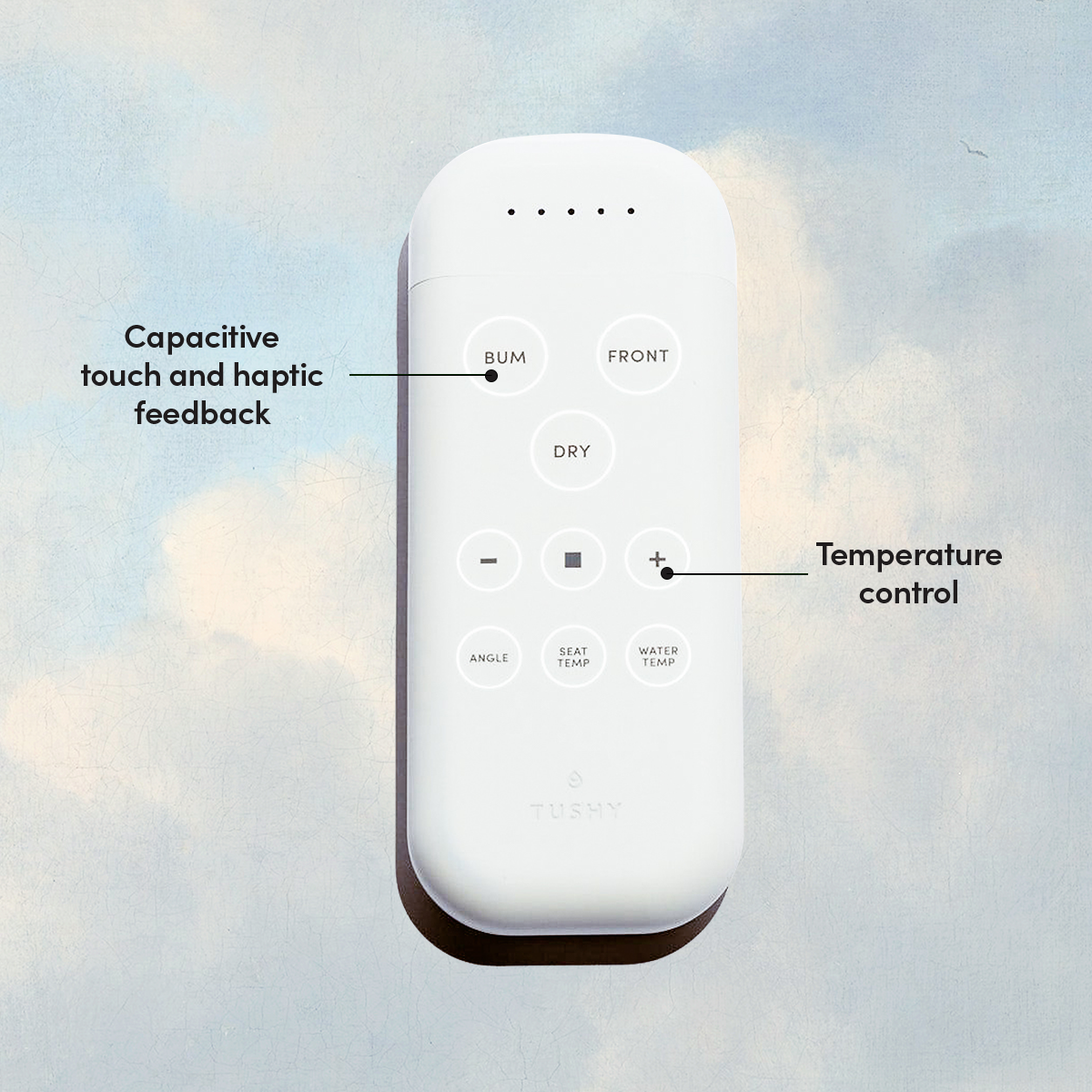 TUSHY Ace Electric Bidet Seat – TUSHY