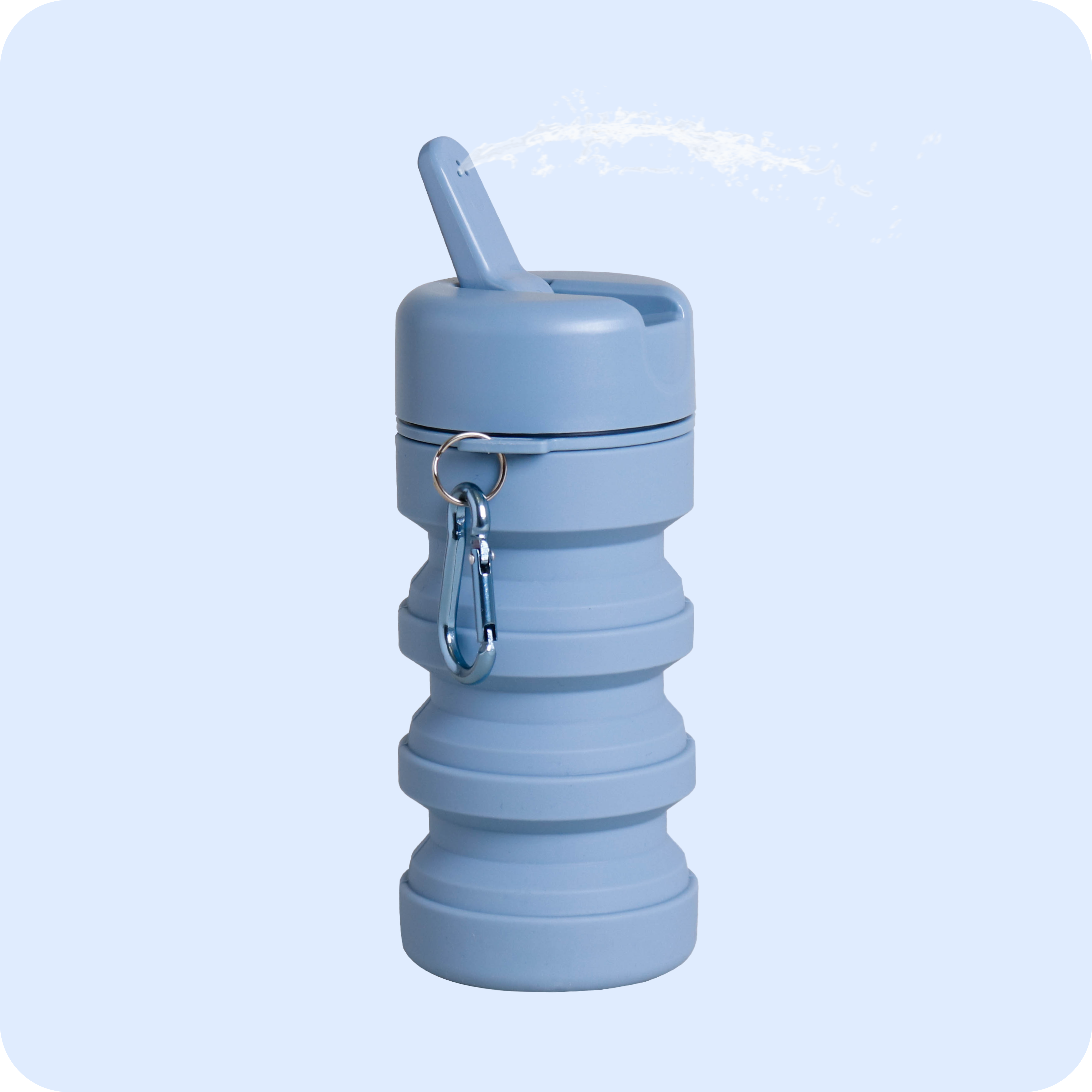 TUSHY Travel – TUSHY