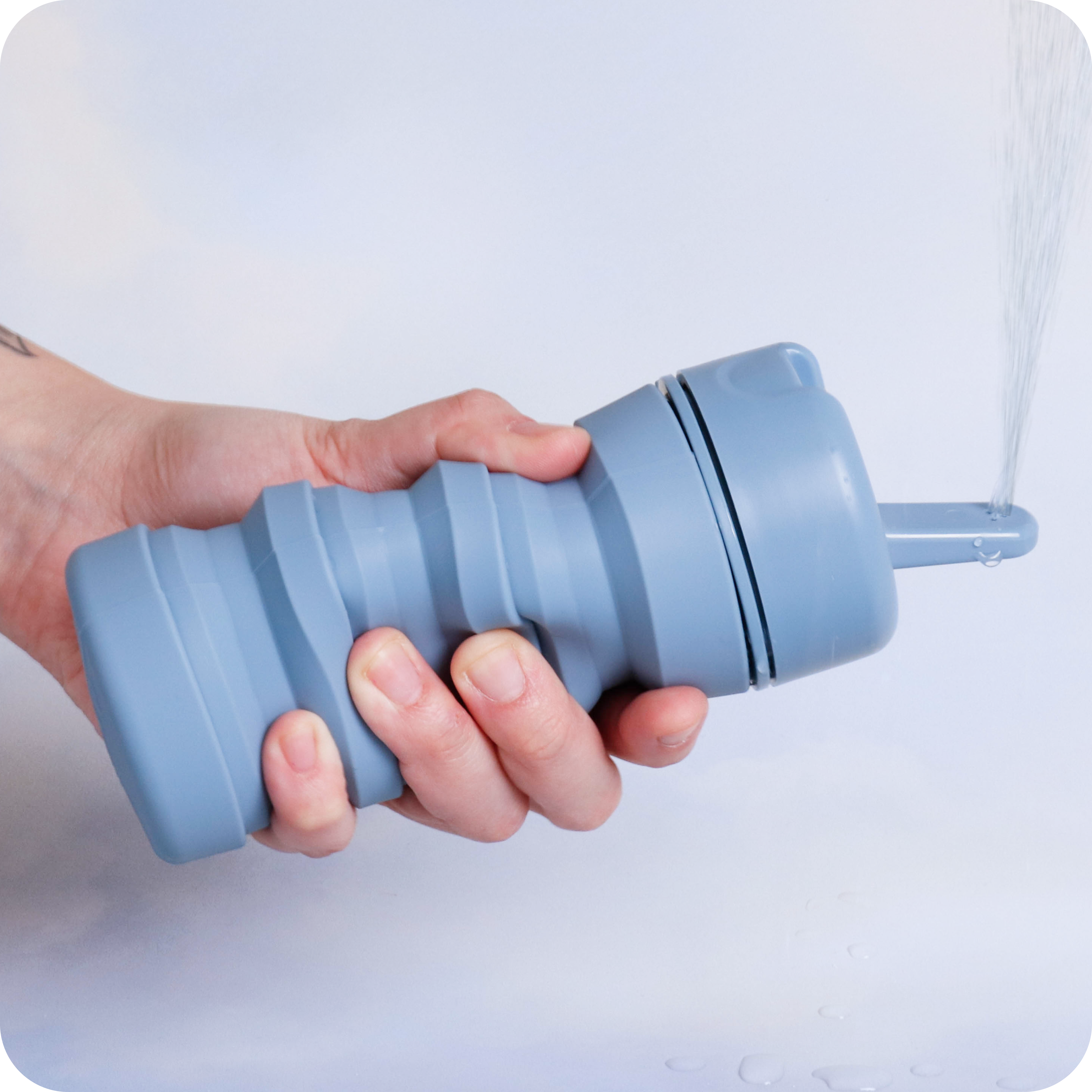 TUSHY Travel – TUSHY