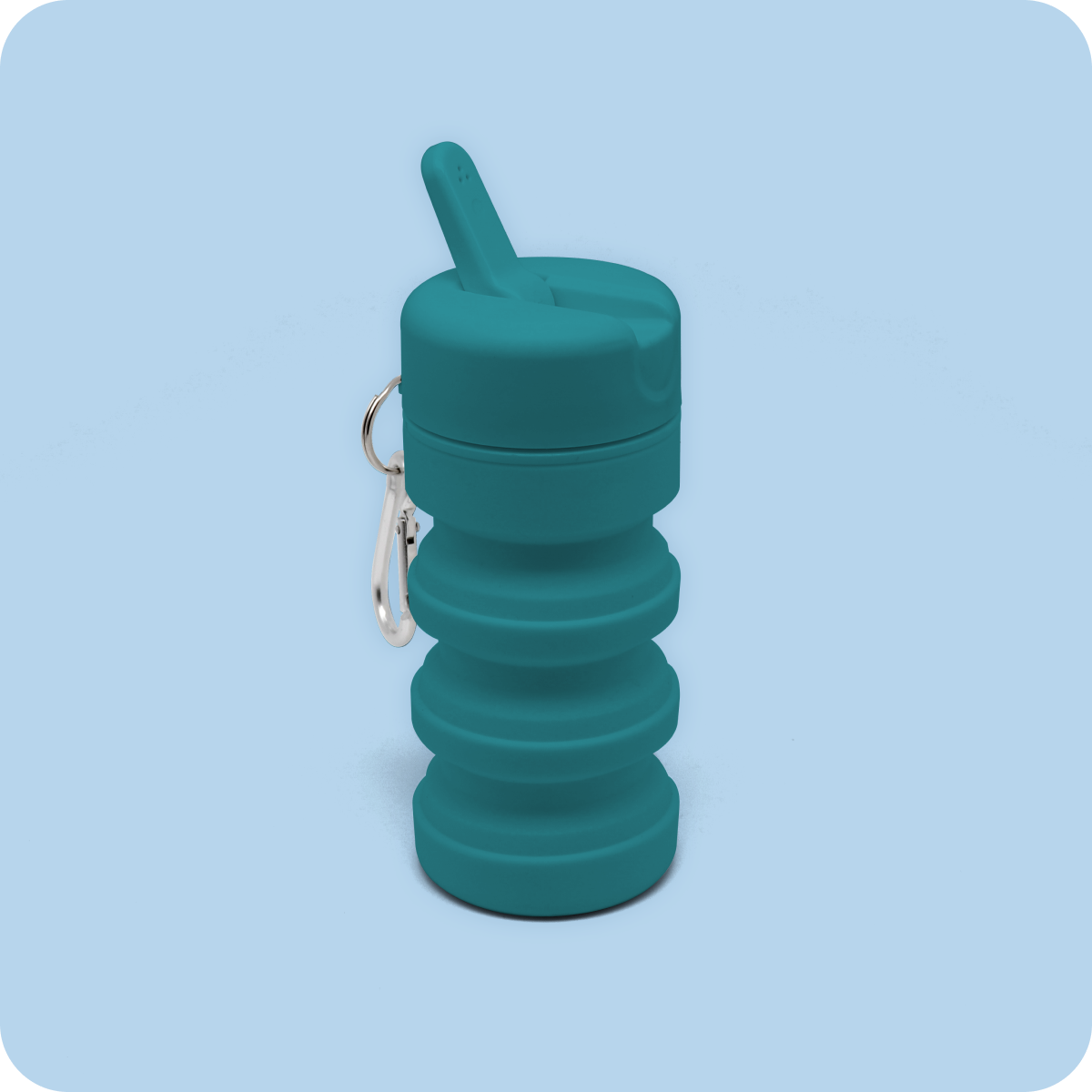 TUSHY Travel – TUSHY