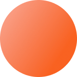 TUSHY Travel – TUSHY