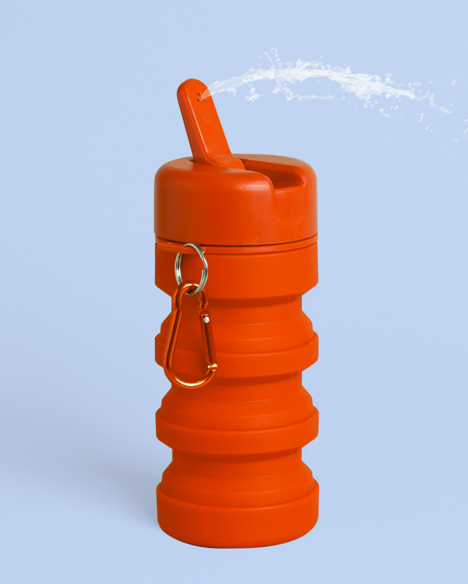 TUSHY Travel – TUSHY